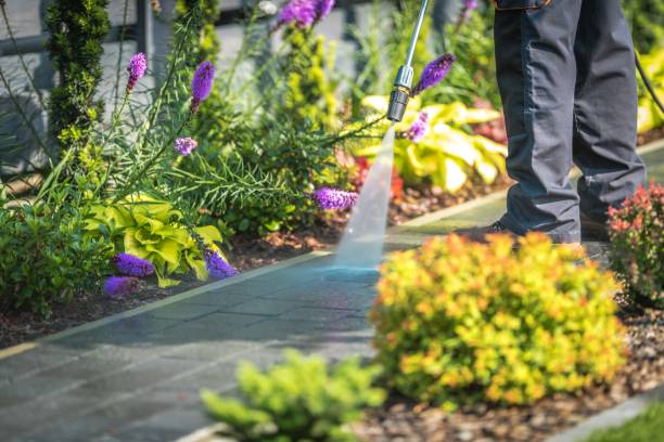 Best Sidewalk and Walkway Cleaning  in Fritch, TX