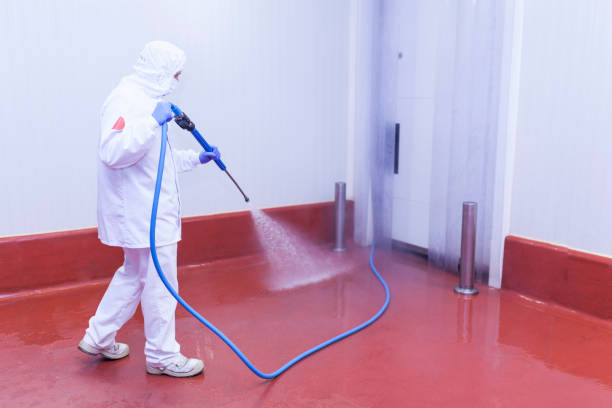 Best Boat and Dock Cleaning  in Fritch, TX