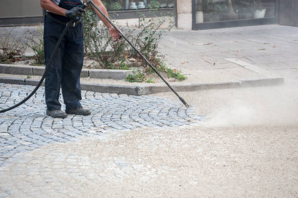 Best Driveway Pressure Washing  in Fritch, TX
